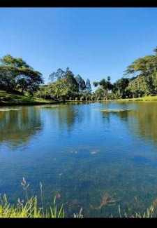 Kapsabet Other | Kenya Kapsimotwa Gardens