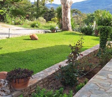 Karlovassi Apartment | Kerkis View Houses