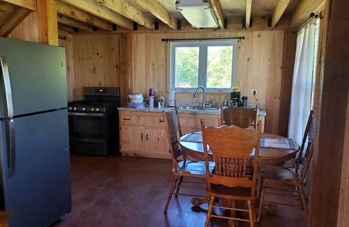 Savona Cabin | Kermit’s Cabin in Finger Lakes Region