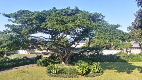 Zinkwazi Beach House | KERYNMERE, Zinkwazi Beach