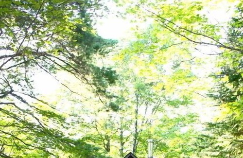 Allouez Cabin | Keweenaw Rustic Cabin near the Gratiot River, Keweenaw Natural Areas Nonprofit