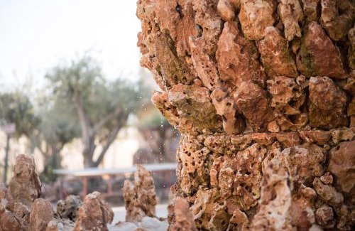 Mahane Zofar Other | Kfar Hanokdim - Glamping & Camping