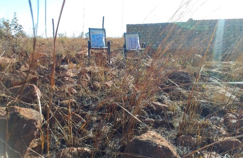 Soshanguve Other | KGOLA SAFARIS