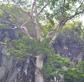 Thai Chang Resort | Khao Chang View Resort