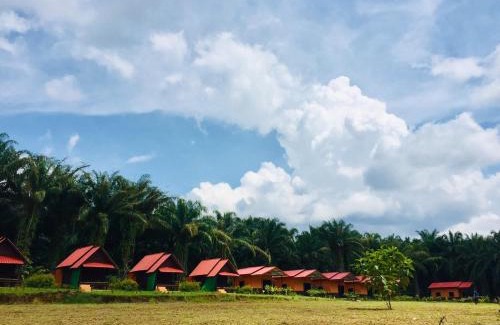 Khlong Sok Resort | Khao Sok Evergreen House
