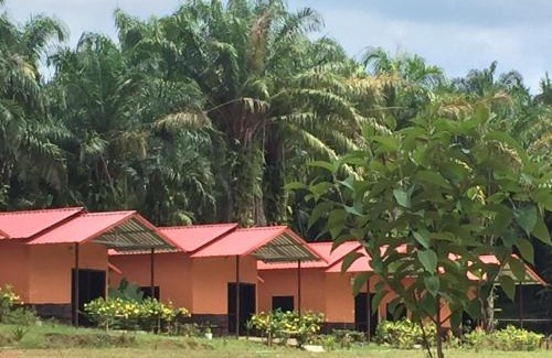 Khlong Sok Resort | Khao Sok Evergreen House