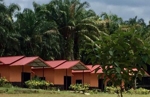 Khlong Sok Resort | Khao Sok Evergreen House