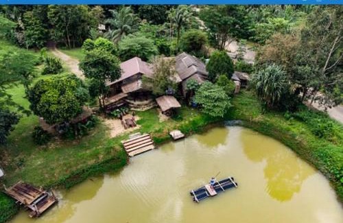Khlong Sok House | Khao Sok Homestay Resort