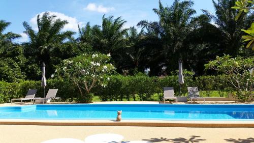 Khlong Sok Hotel | Khao Sok Jasmine Garden Resort - SHA Certified