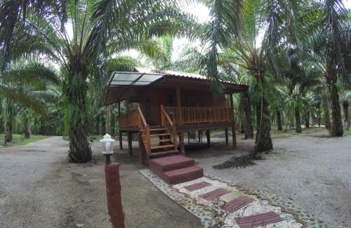 Khlong Sok Resort | Khao Sok Palmview Resort