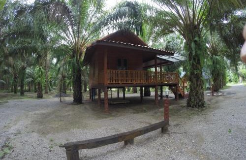 Khlong Sok Resort | Khao Sok Palmview Resort