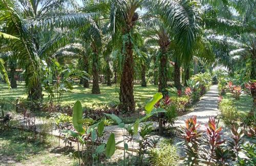 Khlong Sok Resort | Khao Sok Palm Garden Resort