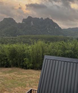 Khlong Sok Other | Khaosok Campsite