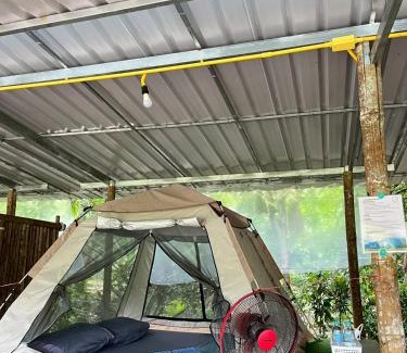 Khlong Sok Bed & Breakfast | Khaosok Mysterious Restaurant and Camp ร้านลึกลับริมคลอง