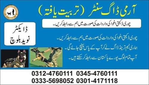 Punjab House | Khoji Dog Center Mianwali