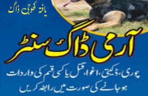 Punjab House | Khoji Dog Center Mianwali