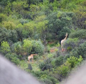 Kgetlengrivier Apartment | Khululeka Guest Farm