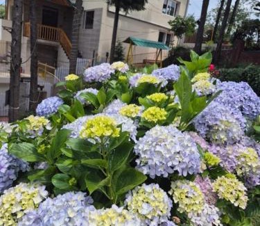 Mukteshwar House | Khushi Cottage