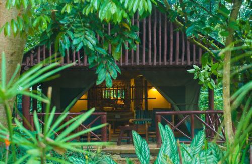 Kibale Cabin | Kibale Forest Camp by NATURE LODGES LTD