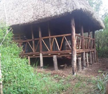 Kibale Hotel | Kibale Forest Cottages And Campsite