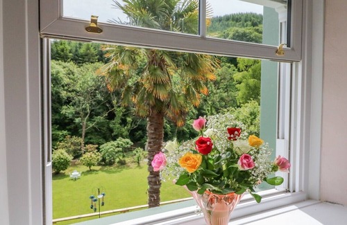 Ilfracombe House | Kids, Pets & Relaxation – Acres of Fun & Freedom