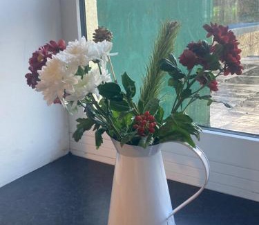 Swinford Apartment | Kilaturley house apartment