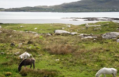 Aisgernis House | Kilbride Cottage
