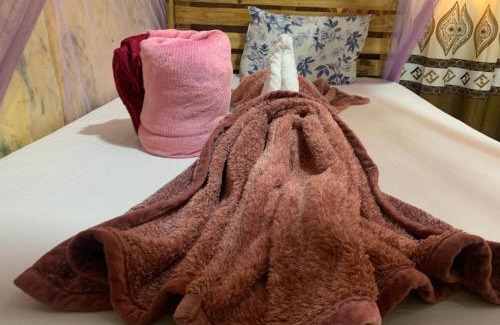 Moshi Hotel | Kilibase Hotel