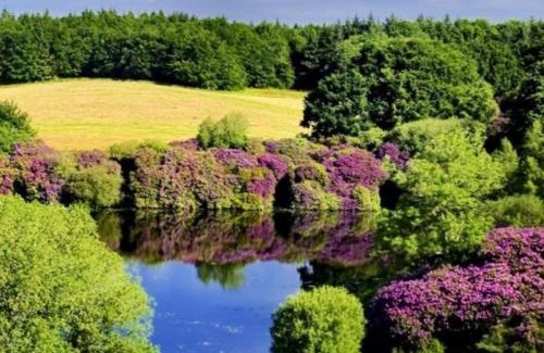 Killyliss House | Killyliss Lodge
