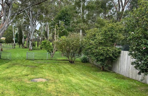 Bowral Cottage | ☘️"KILMEEDY" Take time to smell the roses🌹 in Bowral-Walk to town-Pet friendly.