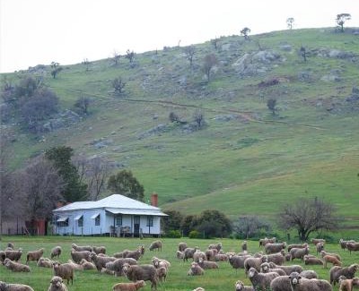 Gundagai House | Kimo Estate