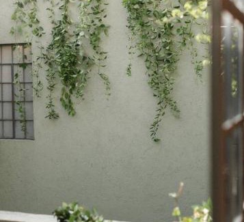 Roma Sur Apartment | Kin Pech Roma by Capitalia