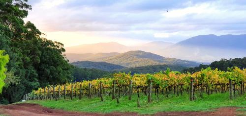 Gladysdale House | KiNam Vinea - A Vineyard Farmhouse in the Yarra Valley