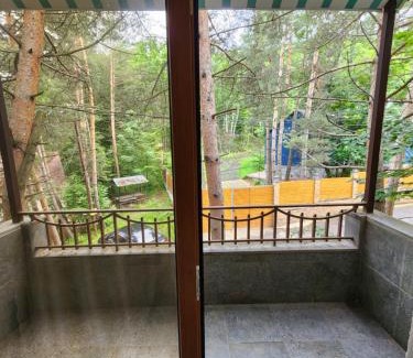 Tsaghkadzor Apartment | King