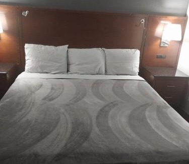 Jackson Apartment | King Bed Hotel Room 110