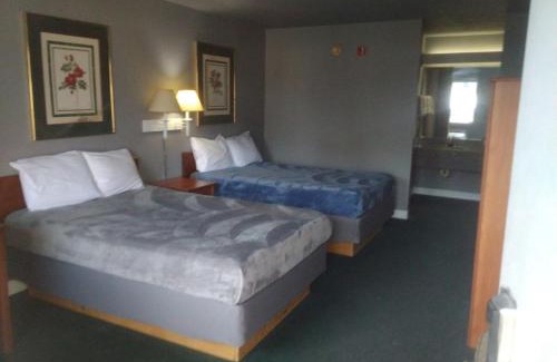 Livingston Apartment | King Bed Hotel Studio 109