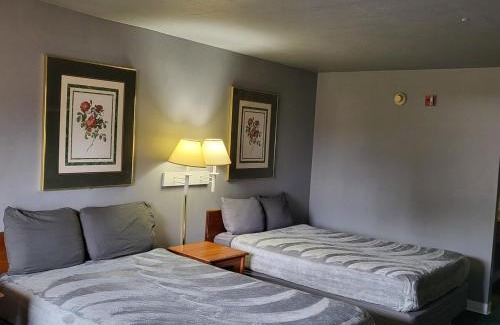 Livingston Apartment | King Bed Hotel Studio 219