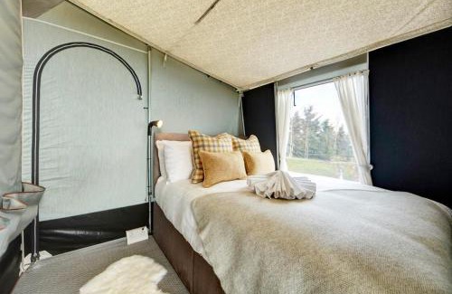 Rhayader House | King Fisher