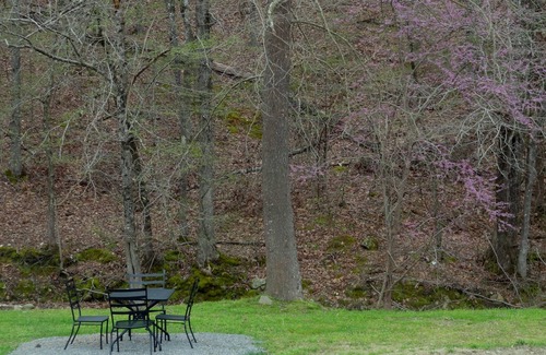 Mount Ida Apartment | King Guest Room located at the Joplin Inn at the entrance to Mountain Harbor, just 2 1/2 miles from Lake Ouachita. by RedAwning