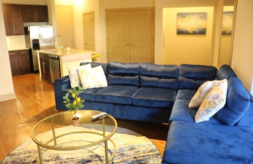 South Main Apartment | King Size Beauty. NRG/Med Cntr