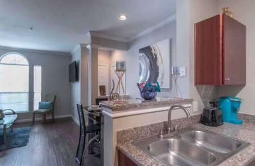 College Park Apartment | King Sized Bed w Pool and FREE PARKING in The Woodlands