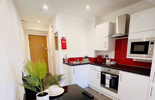 Barbican Apartment | King Studio Apartment in the City Centre with private En-Suite shower room