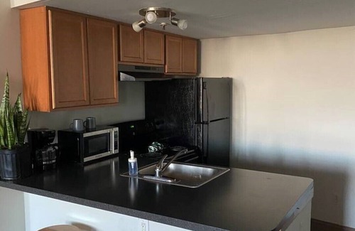 Detroit Apartment | KING SUITE Loft Downtown 420 friendly - FREE PARKING - FREE Wifi