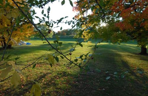 Orillia Hotel | Kings Inn Orillia