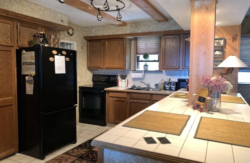 Indian River House | Kingsley Beach Cottage right on Burt Lake
