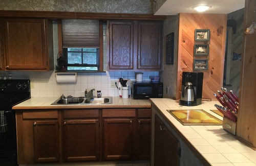 Indian River House | Kingsley Beach Cottage right on Burt Lake