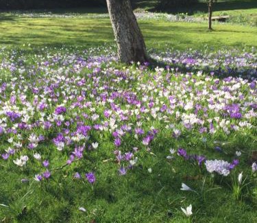 New Forest District House | Kingswood Cottage