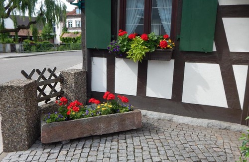 Willstaett Hotel | Kinzigbrucke