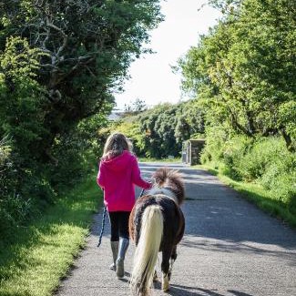 Foxdale Apartment | Kionslieu Farm Cottages