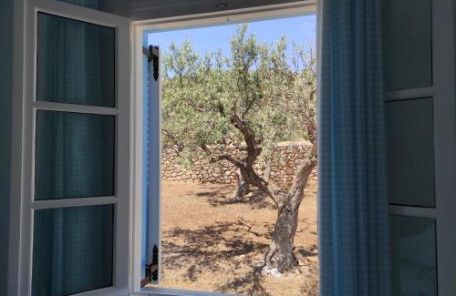 Spetses Villa | KIOUSIS ESTATE